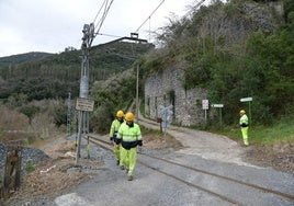 Trabajos de retirada del árbol que ha caído sobre las vías de tren entre Mendaro y Deba