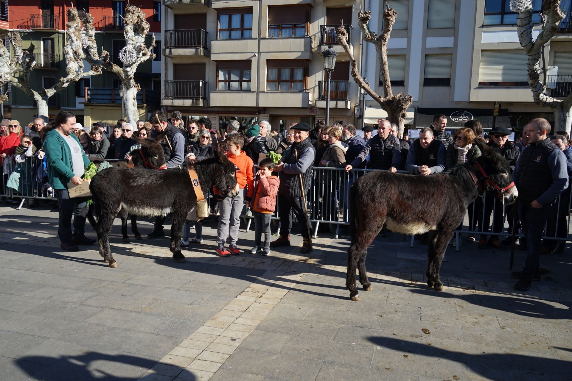 Radiante Astotxo Eguna