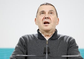 Arnaldo Otegi, este lunes durante la rueda de prensa en Donostia.