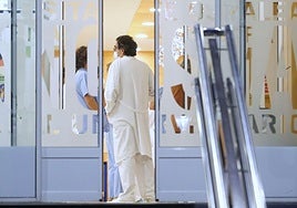 Varios sanitarios conversan a las puertas del Hospital Donostia.