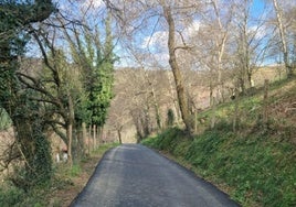 Vista del camino que lleva al caserío Aozar, situado en el barrio Sallobente-Ermuaran, ya reparado.