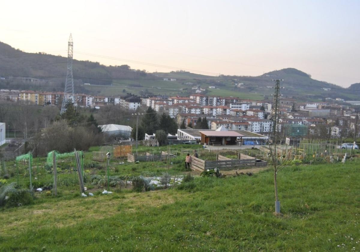 Imagen de la zona que acoge las huertas ecológicas.