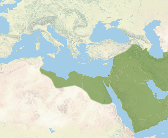 Qué es Gaza, la tierra más disputada a través de la historia