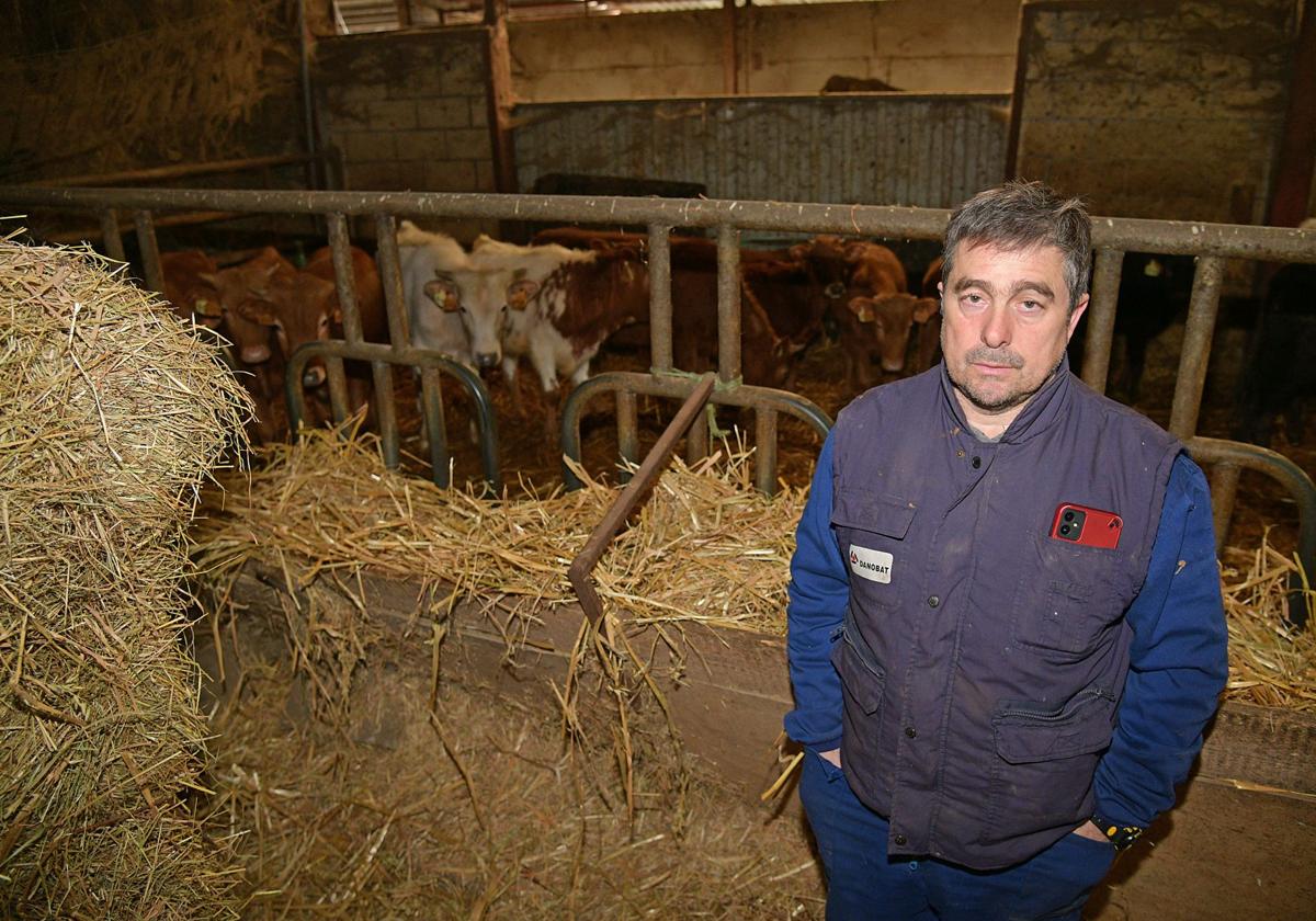 Asier Arrizabalaga, propietario de la ganadería, desolado ante varias de sus reses aún por sacrificar.