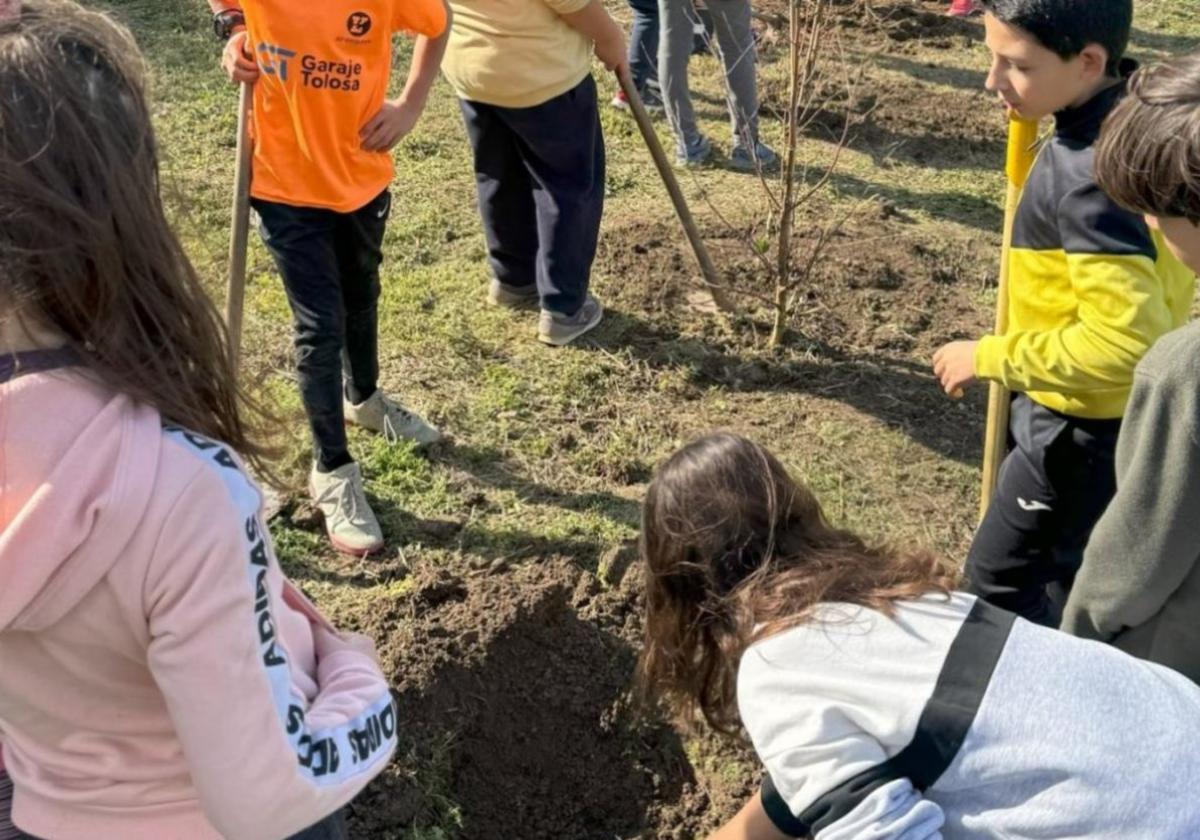 Plantación de árboles llevada a cabo el año pasado; este año se harán los días 21 y 22 de febrero.