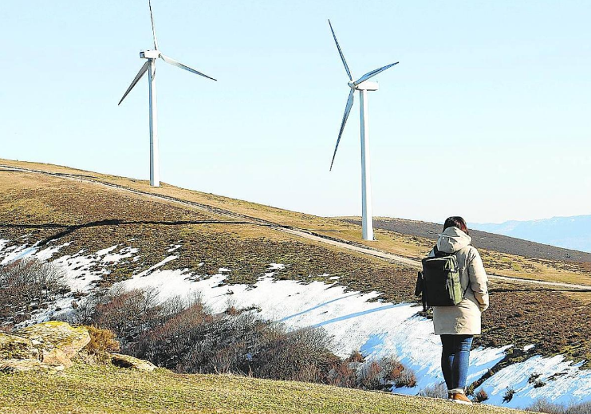 EH Bildu aprueba un parque eólico en Álava «por imperativo administrativo»