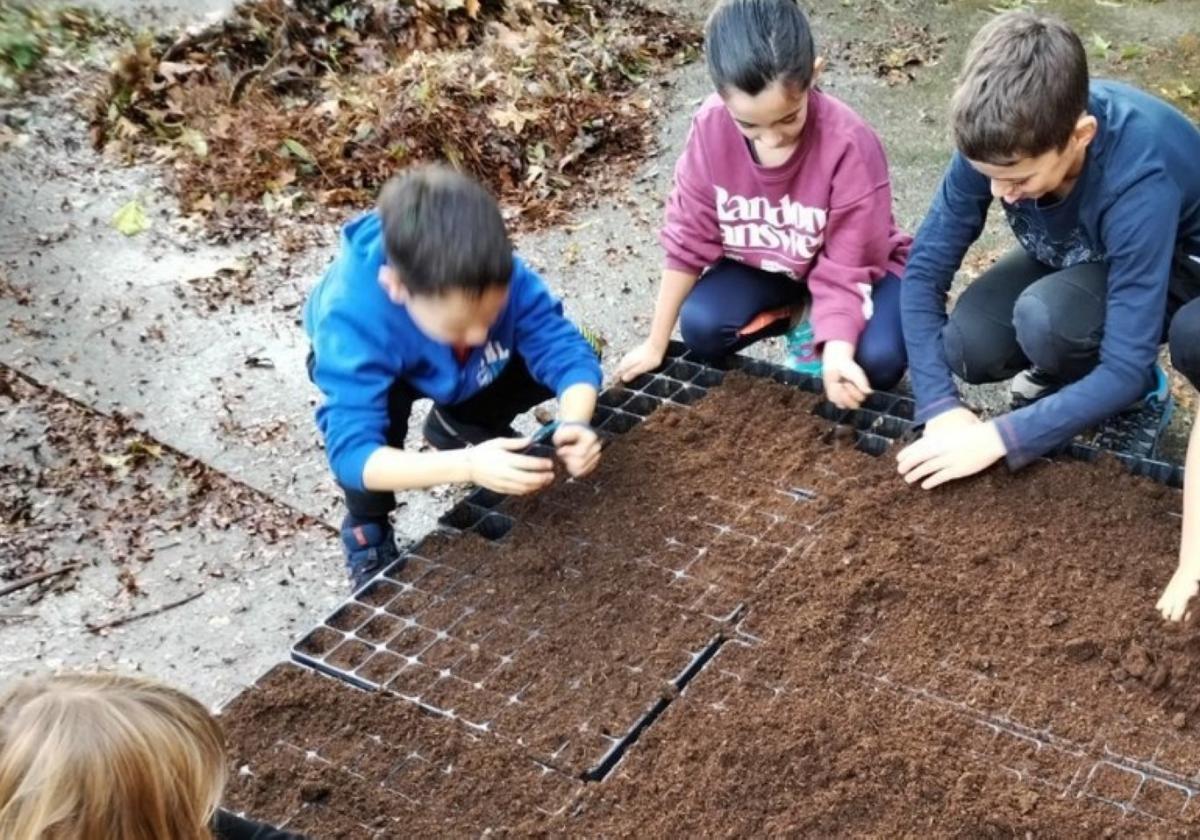 Niños realizan labores con las semillas en la zona del vivero de Iturola.