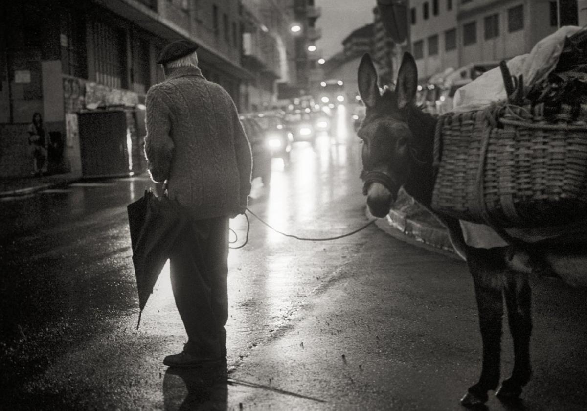 «Este premio es muy especial porque reconoce fotografías de la vida rural de nuestro pueblo»