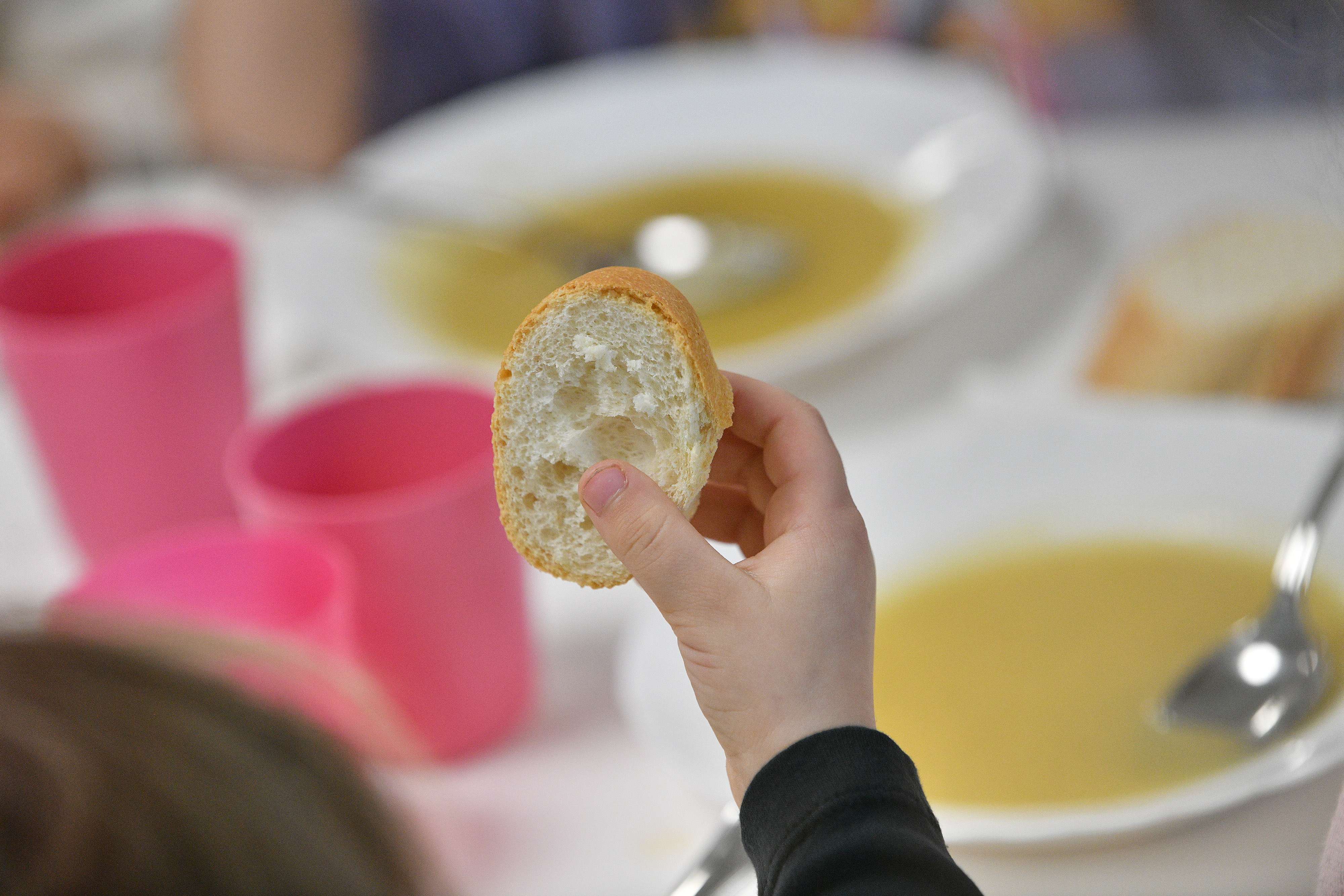 La Audiencia de Gipuzkoa rechaza la petición de una familia de dar un menú vegano en la jangela
