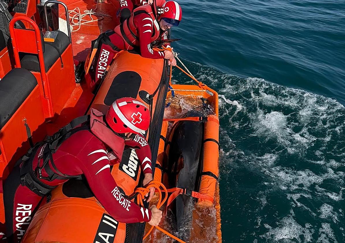 Socorristas de Cruz Roja durante el rescate al delfín varado, esta mañana.