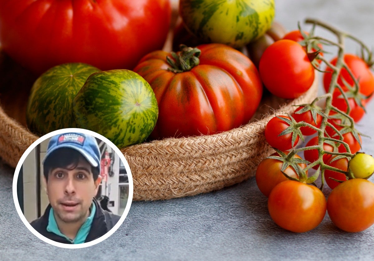 Un frutero vasco recomienda el tomate que hay que comer en invierno: «Es una auténtica delicia, incluso fuera de temporada»