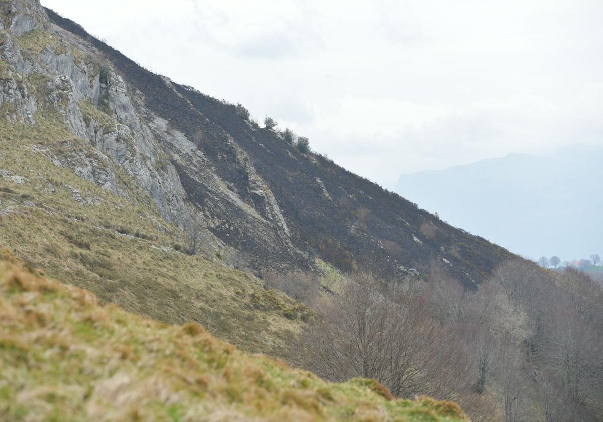 Ladera del monte Hernio quemada por el incendio de ayer.