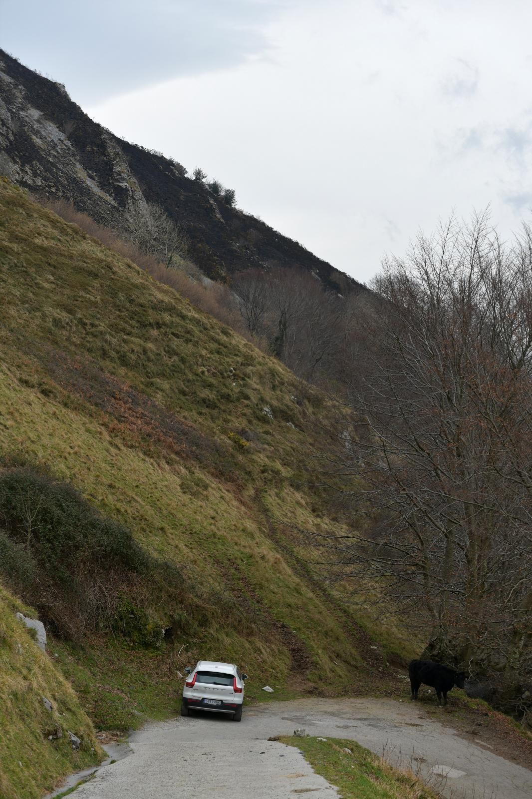 El monte Hernio, a vista de dron tras el incendio