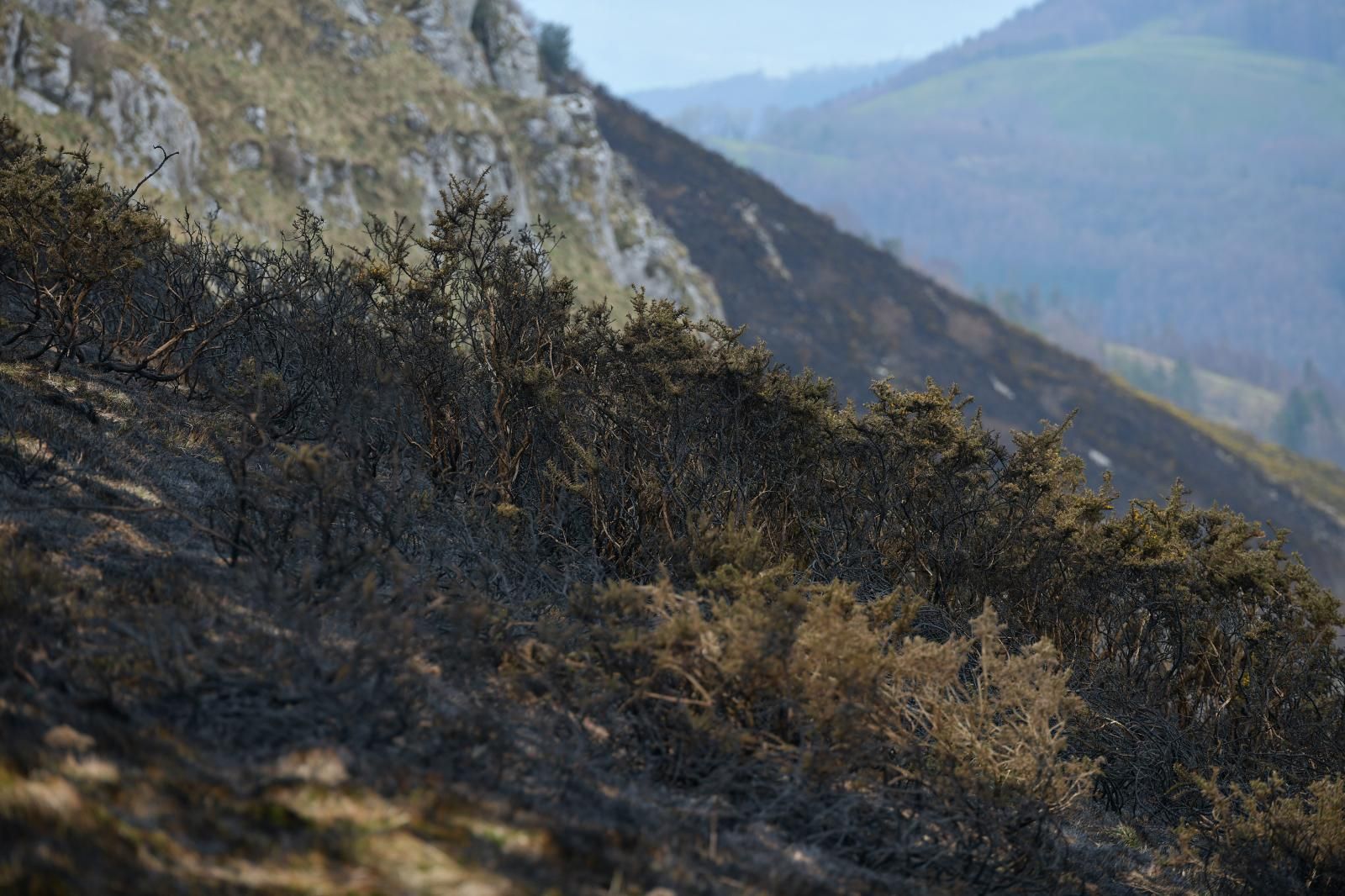 El monte Hernio, a vista de dron tras el incendio