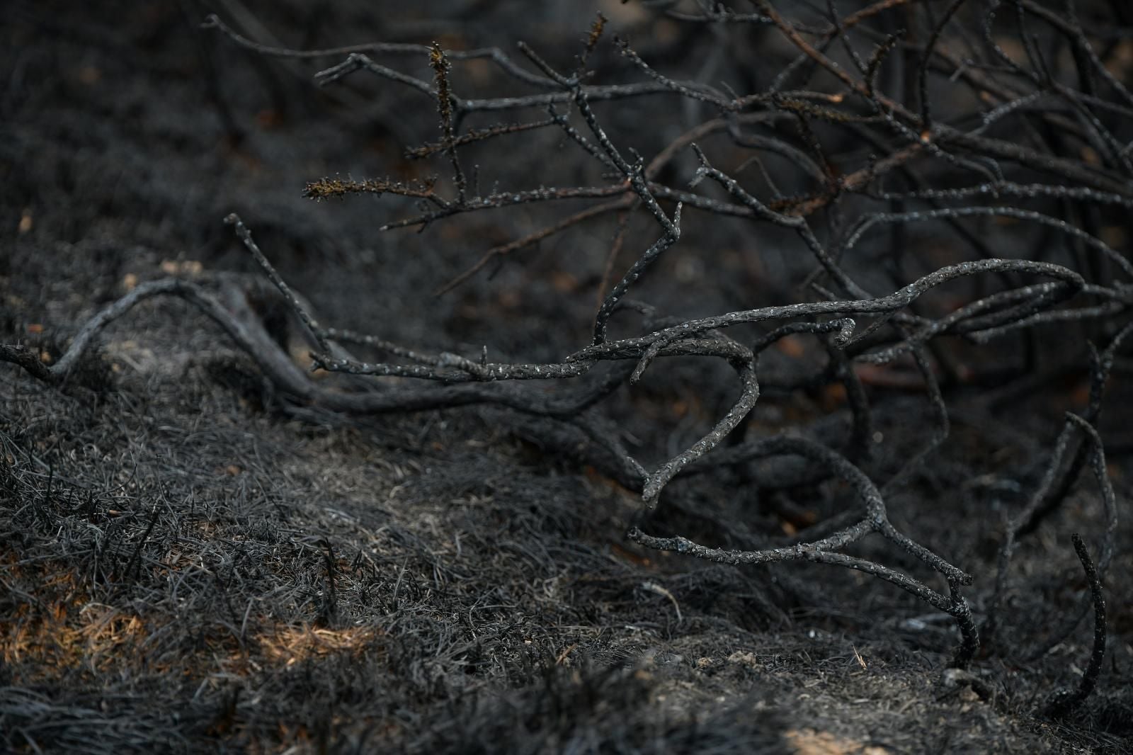 El monte Hernio, a vista de dron tras el incendio