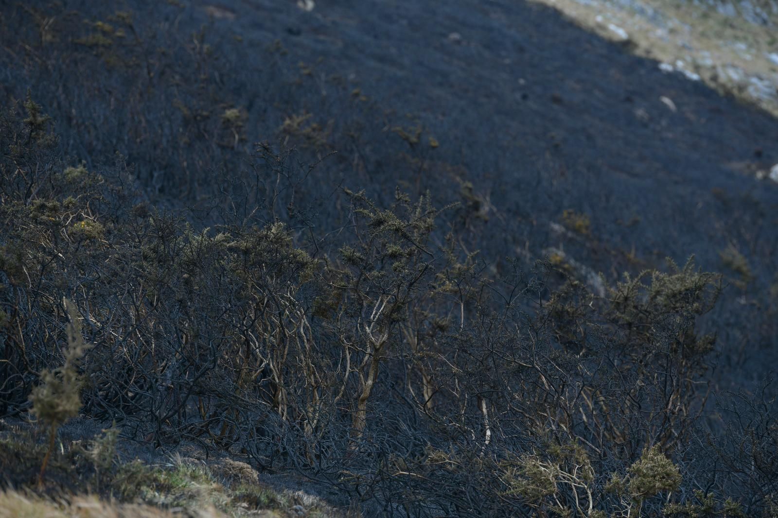 El monte Hernio, a vista de dron tras el incendio