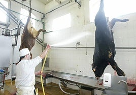 La Mancomunidad de Tolosa asumirá la gestión del matadero.