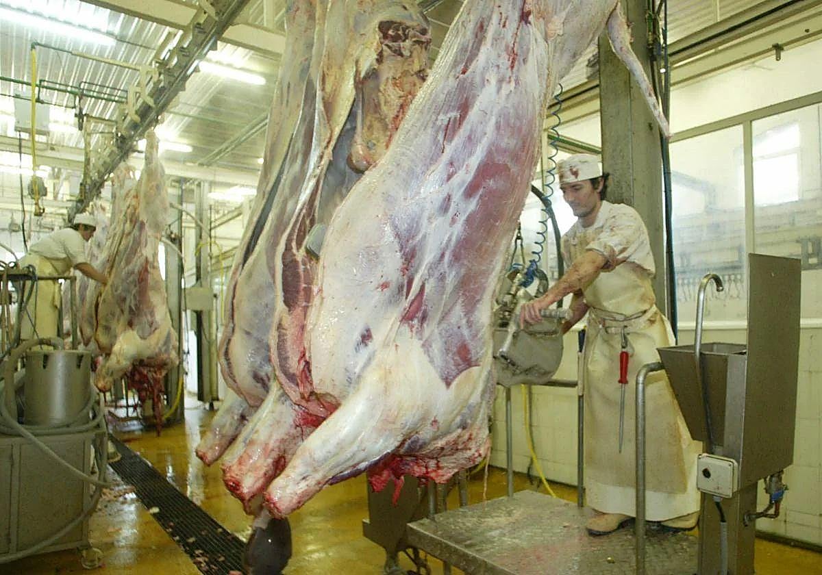 Imagen de archivo del Matadero de Tolosa.