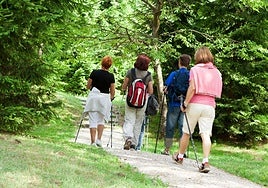 Un grupo de personas practican marcha nórdica.