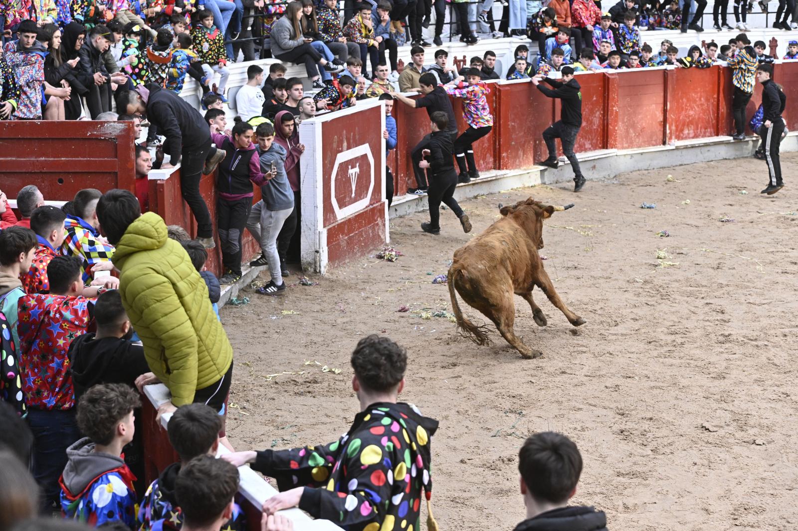 No faltaron las vaquillas en Tolosa