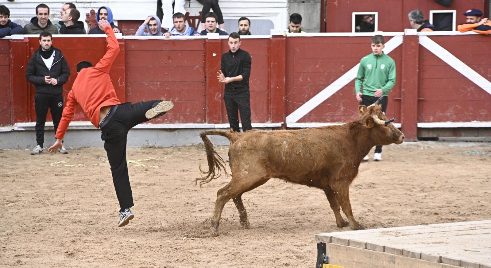 No faltaron las vaquillas en Tolosa