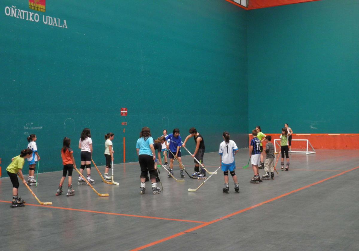 La Diputación recurre la sentencia del TSJPV que anula la obligatoriedad del multikirola