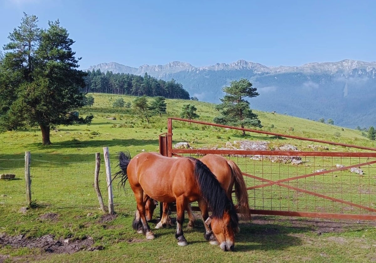 Paisajes de Arrobi, cuya recuperación fue iniciada hace varios año