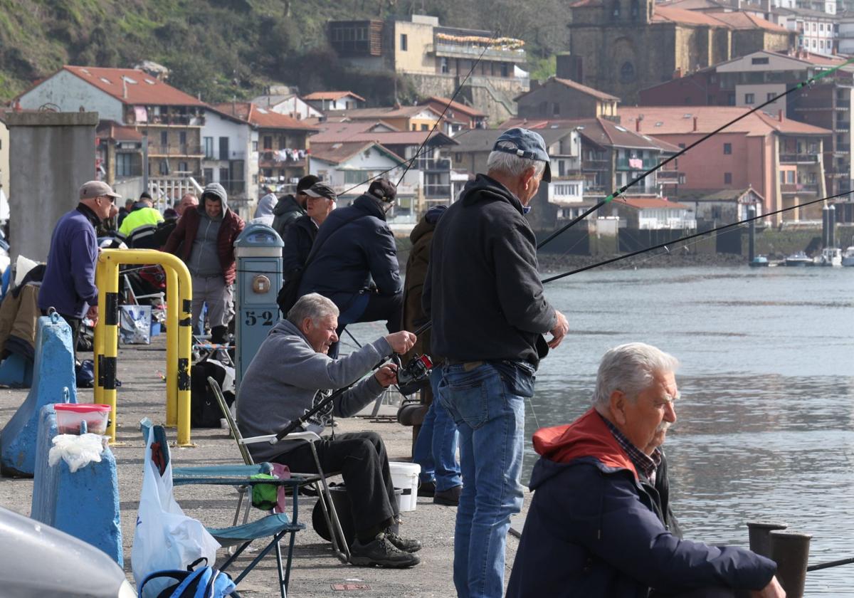 Los pescadores de Pasaia protestarán contra la prohibición de pesca en aguas del puerto