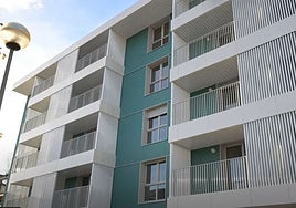 De las 20 viviendas en alquiler, 6 poseen 3 dormitorios, 11 cuentan con 2 dormitorios y 3 son de un único dormitorio