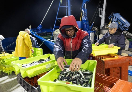 Los tripulantes de los barcos 'Itsas Eder' y 'Tuku Tuku', a las cinco y media de la mañana, durante una de las descargas de anchoa, esta semana.