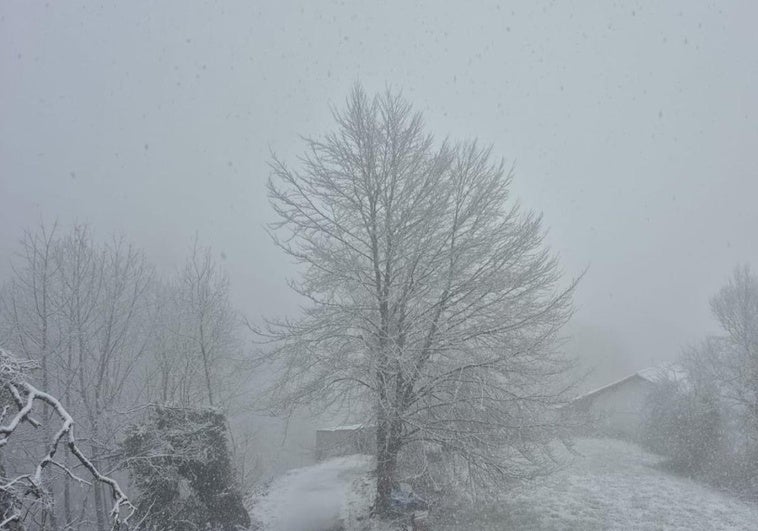 Un domingo frío dará paso a un lunes más templado gracias al viento del sureste