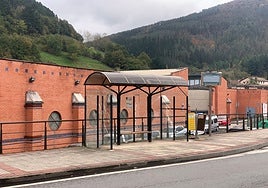 El ente foral «asegurará los trasbordos entre los servicios existentes con la nueva línea»