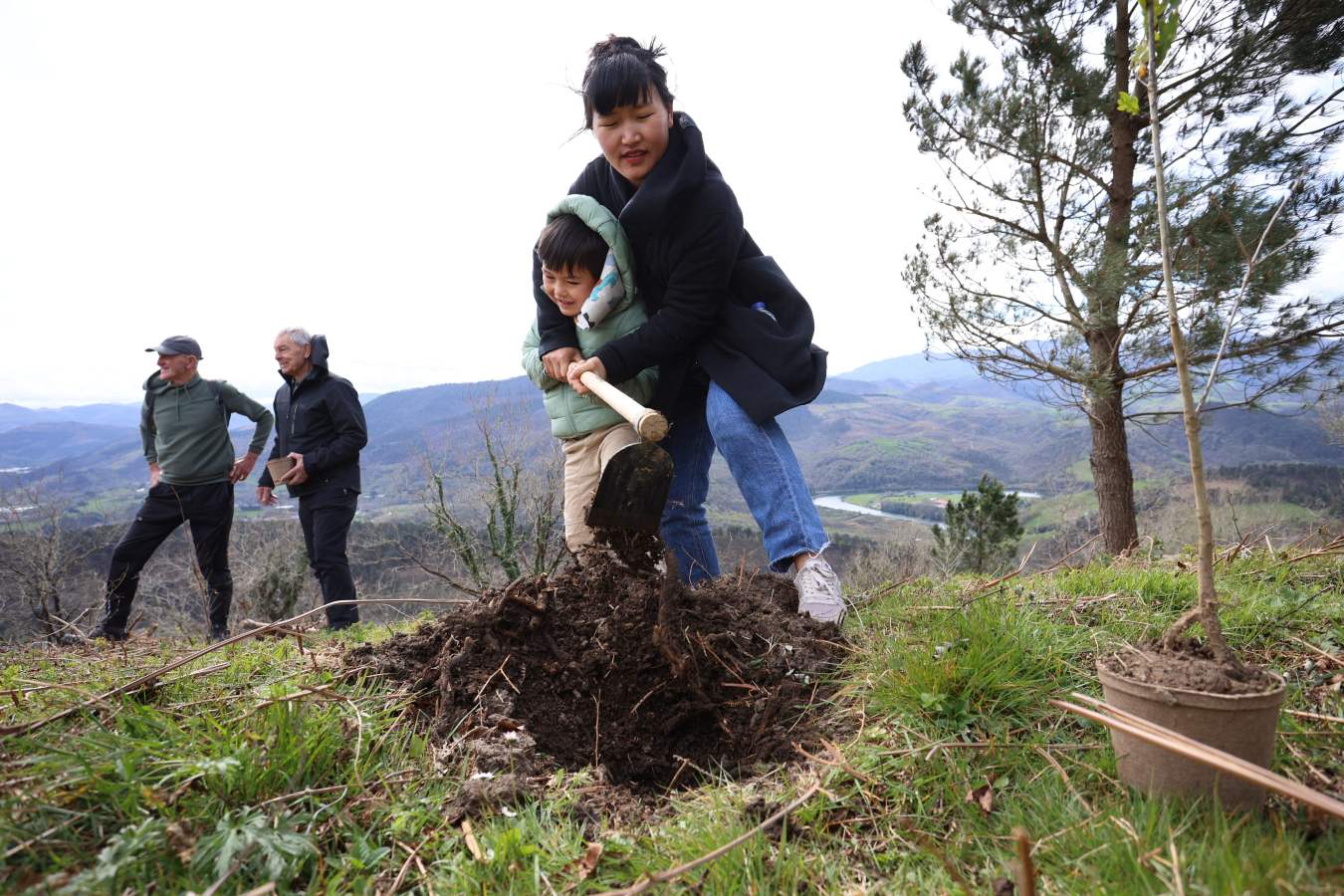 Un árbol, un deseo