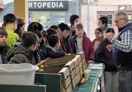 Alumnos de los centros escolares locales visitan el mercado local dentro del programa educativo.
