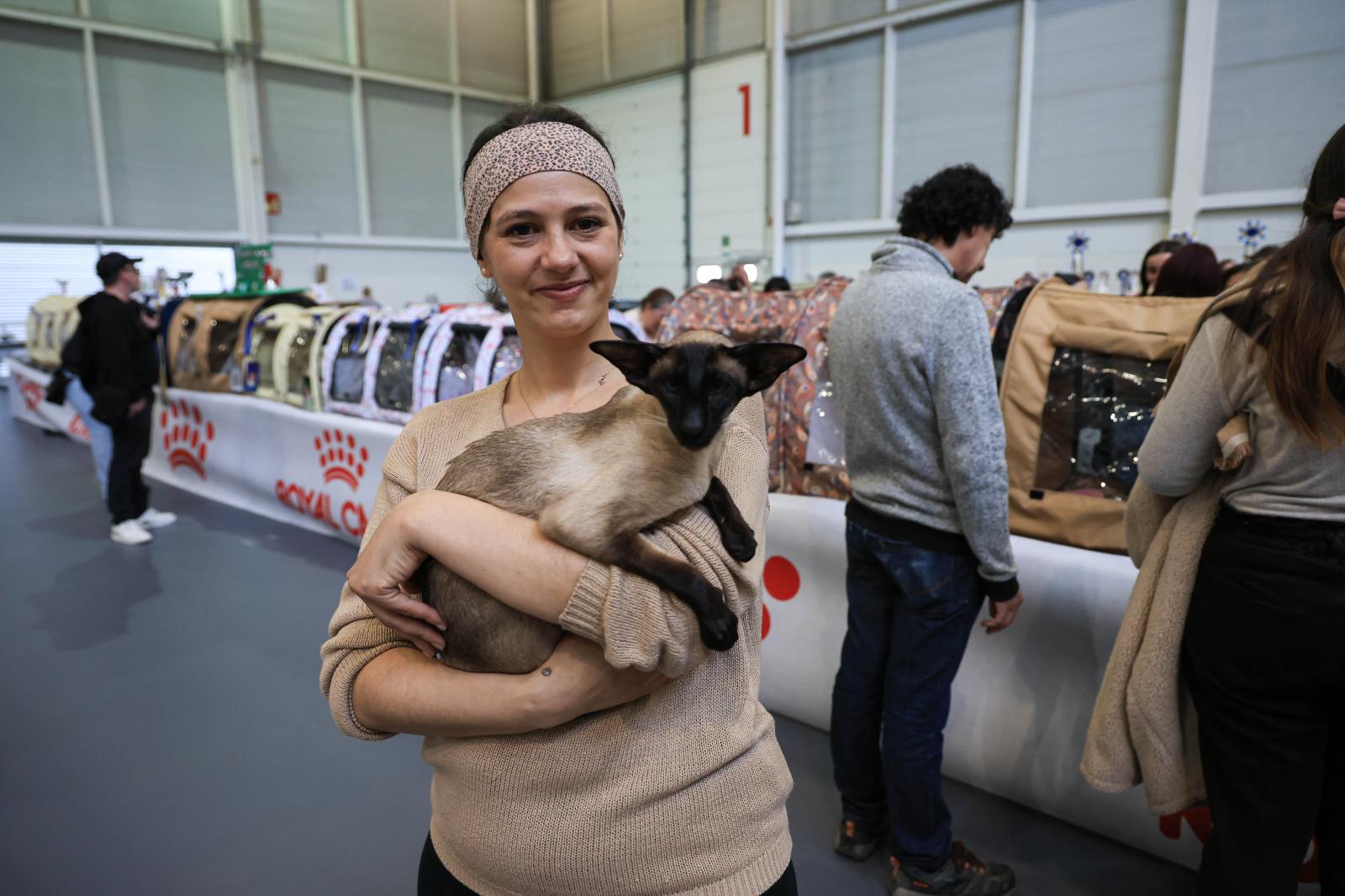 Exposición Internacional Felina en Irun