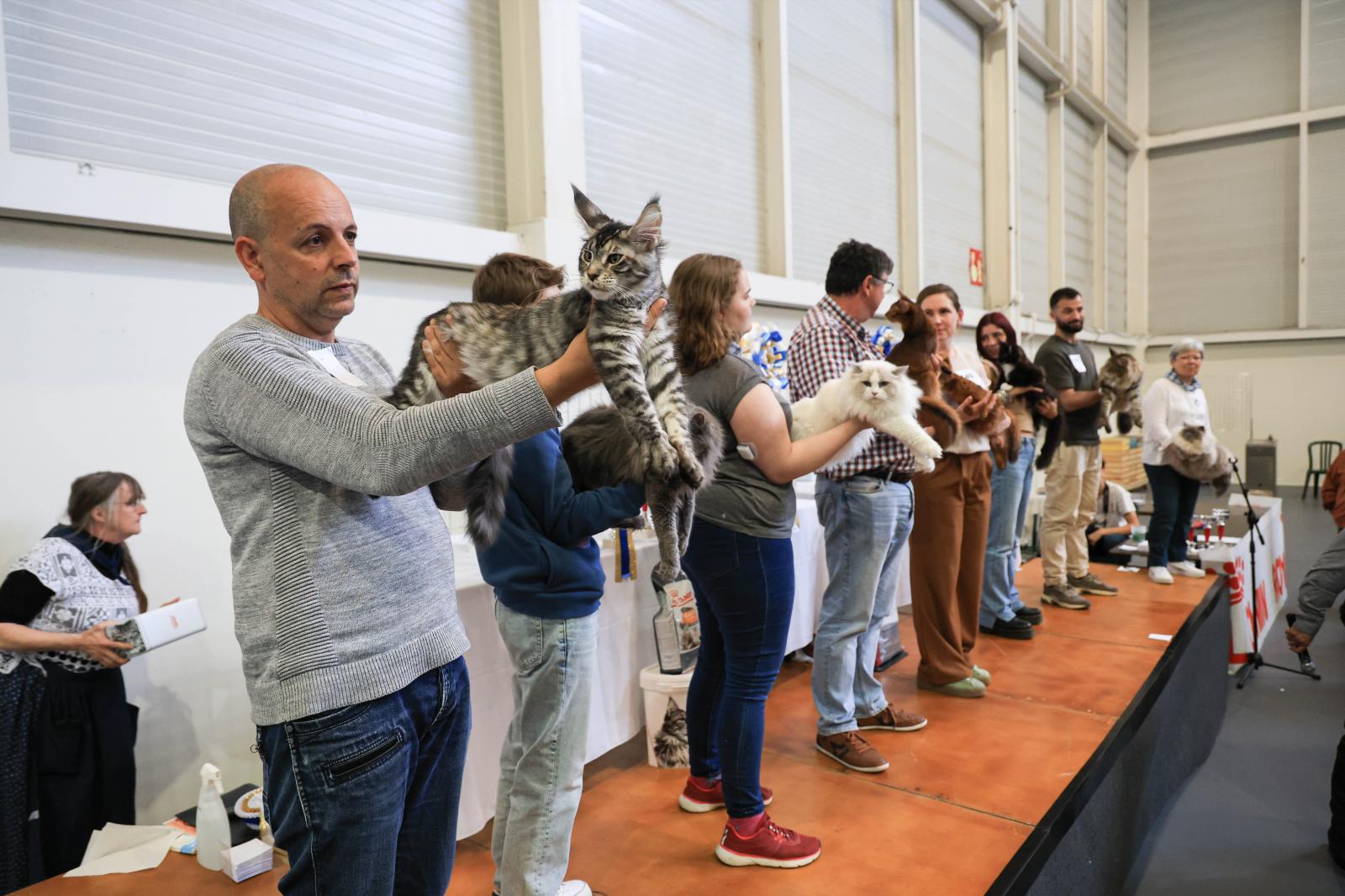 Exposición Internacional Felina en Irun