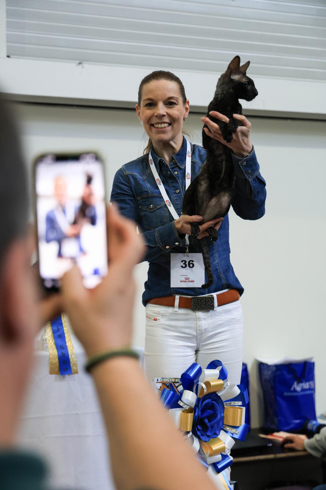 Exposición Internacional Felina en Irun