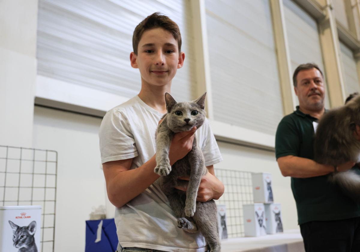 Exposición Internacional Felina en Irun