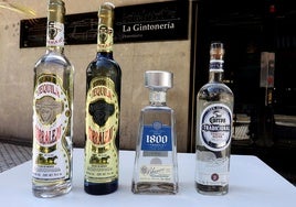 Tequilas que te harán disfrutar