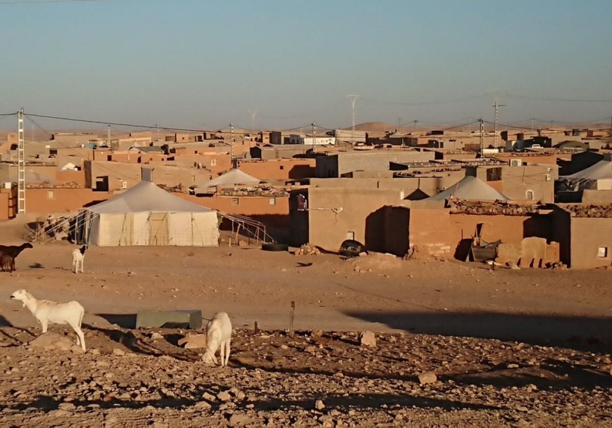 Una delegación del Ayuntamiento viaja a los campamentos de refugiados saharauis