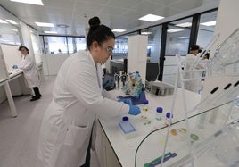 La Fundación Vasca para la Ciencia atrajó a 45 investigadores en 2024.