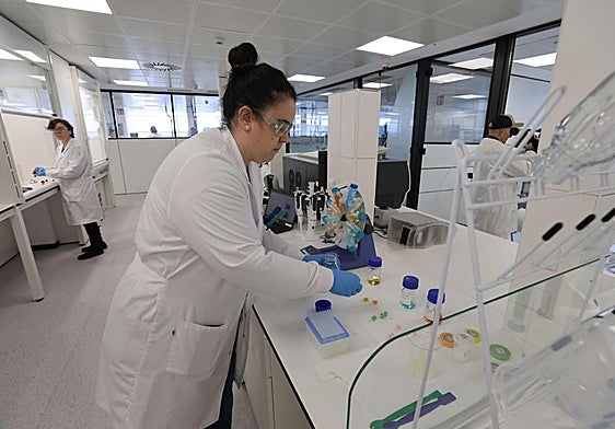 La Fundación Vasca para la Ciencia atrajó a 45 investigadores en 2024.