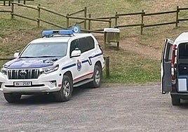 Efectivos de emergencias, en la zona del siniestro.