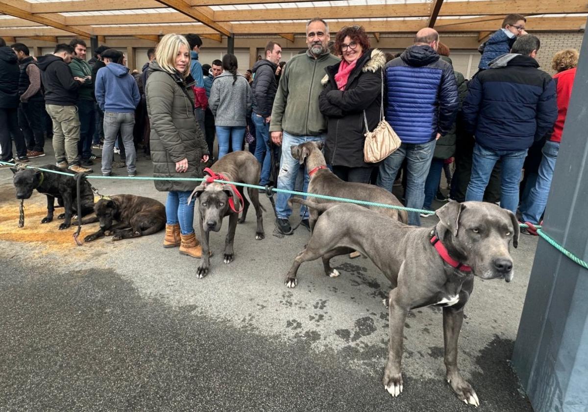 Doneztebe acogió el Día del Perro Presa Navarro