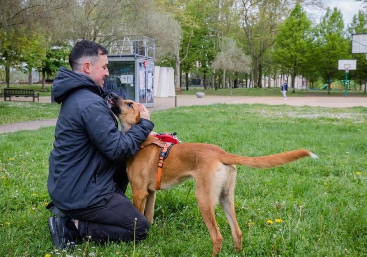 El parque de Judimendi tendrá un nuevo espacio 'agility' de entrenamiento canino