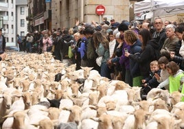 Los rebaños de ovejas han recorrido el centro de Ordizia como cada Artzain Eguna.
