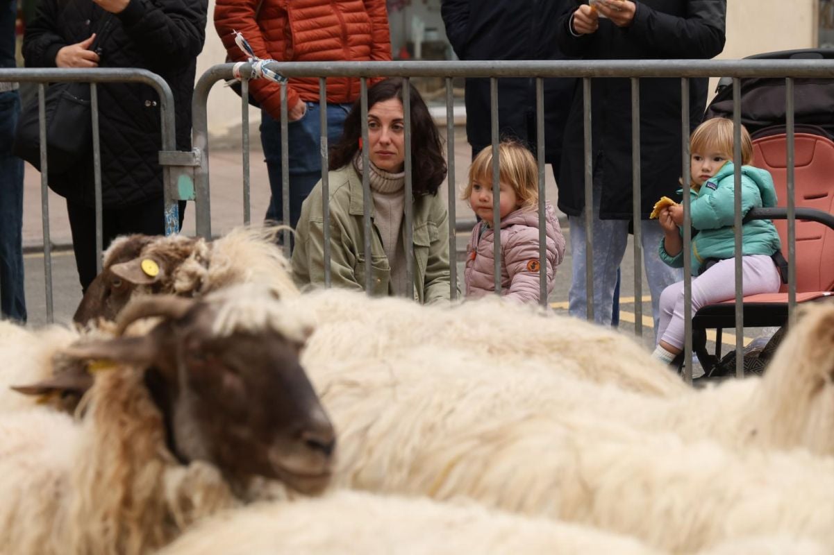 Multitudinario y festivo Artzain Eguna