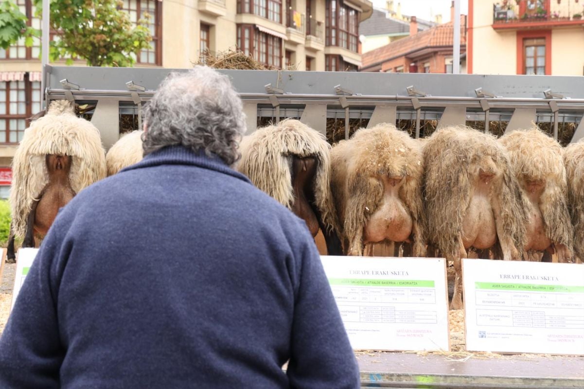Multitudinario y festivo Artzain Eguna