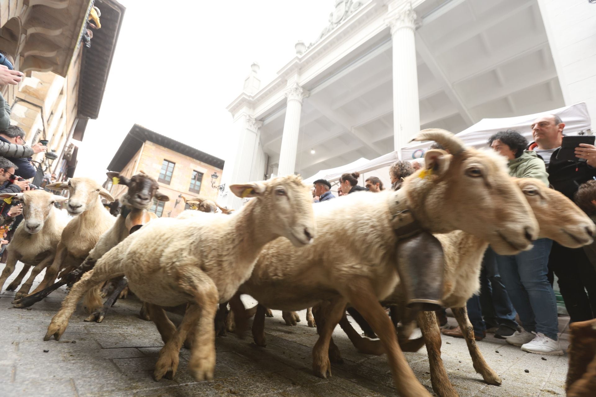 Multitudinario y festivo Artzain Eguna