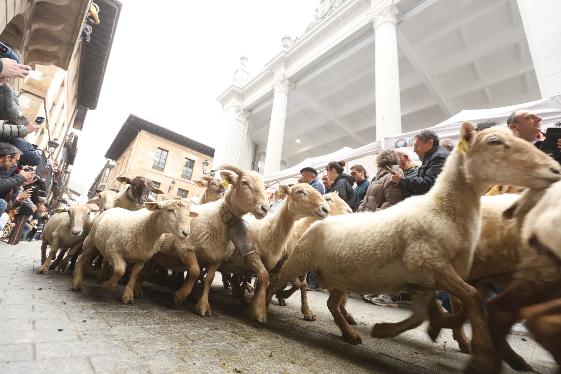 Multitudinario y festivo Artzain Eguna